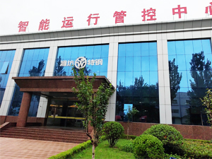 高温下的坚守，小蝌蚪视频官网在线下载正版调试任务完成