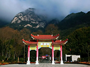 烟雨下游黄山，看别样景色，南京小蝌蚪视频免费观看大全团建圆满结束